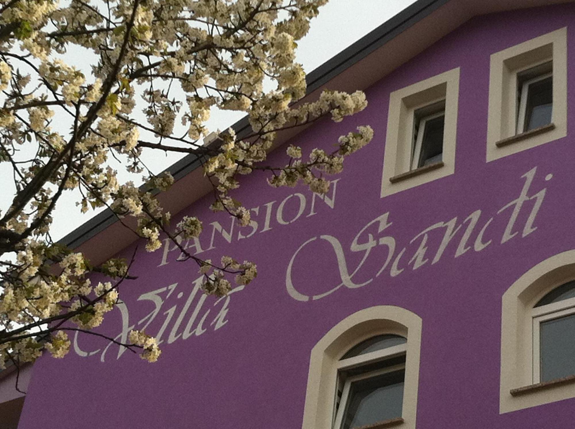 Čavle Hotel Villa Sandi - Free Parking מראה חיצוני תמונה